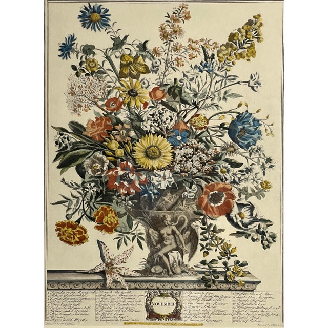 Late 20th Century Framed Prints, 12 Months of Flowers by Robert Furber Orig. 1730 - Set of Four For Sale - Image 10 of 18
