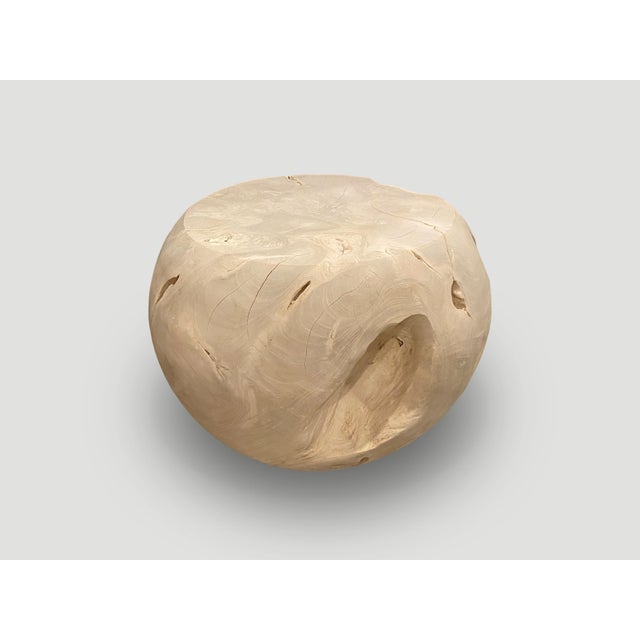 Andrianna Shamaris Bleached Teak Wood Drum Side Table For Sale - Image 14 of 18