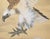 C. 1970s Painted Chinese Silk Screen "Bald Eagle" For Sale - Image 9 of 18