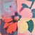 Set of 4 Framed Botanical Photograph Prints — Pop Art Flowers No. 2 For Sale - Image 4 of 10
