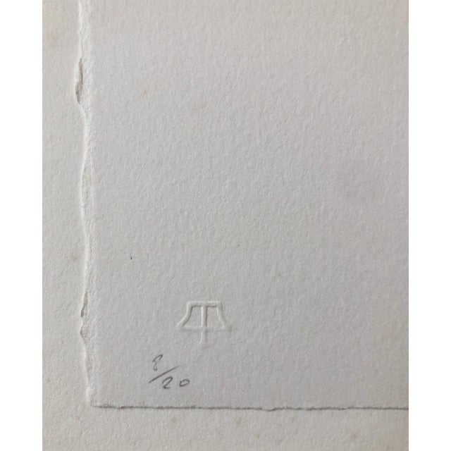 Dirk de Bruycker, Set of Eyes, Color Lithograph, Belgian Abstract Expressionist Tamarind Print, 1997 For Sale - Image 4 of 10