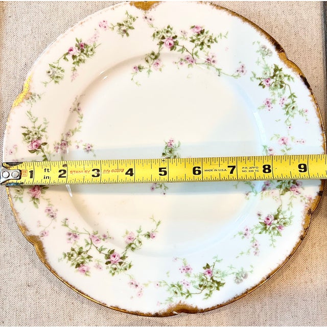 Victorian Early 20th Century Haviland France Haviland & Co., Limoges Dinnerware Plates- 2 Pieces For Sale - Image 3 of 9