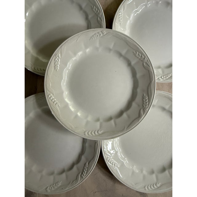 English 1950s Set of Five (5) Royal Crownford Wheat Ironstone 8” Plates, Made in England, Embossed White Ironstone Dinnerware For Sale - Image 3 of 8