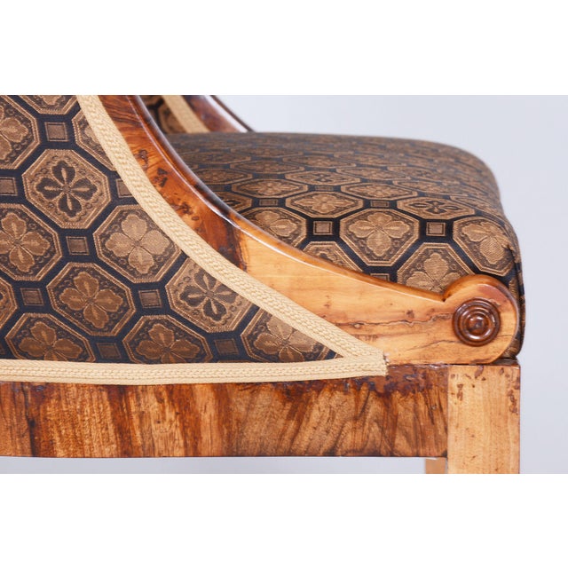 Brown Biedermeier Walnut Armchair, Vienna, Austria, 1820s For Sale - Image 8 of 11