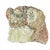 Terra Cotta Natural Petrified Wood Specimen #4 For Sale - Image 8 of 9