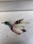 Delphin Massier Majolica Duck Wall Pocket Delphin Massier, Circa 1890 For Sale - Image 4 of 8