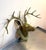 1960s Brass Deer Head Wall Hook For Sale - Image 5 of 5