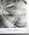 Black and White Photograph by Ralph Gibson Signed and Dated For Sale - Image 11 of 11