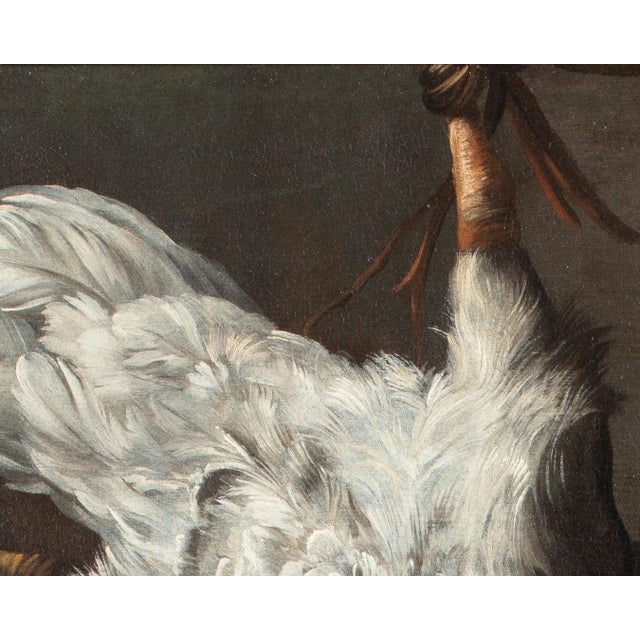 Jean-Baptiste Oudry, White Duck, 1800s, Oil on Canvas, Framed For Sale - Image 7 of 13