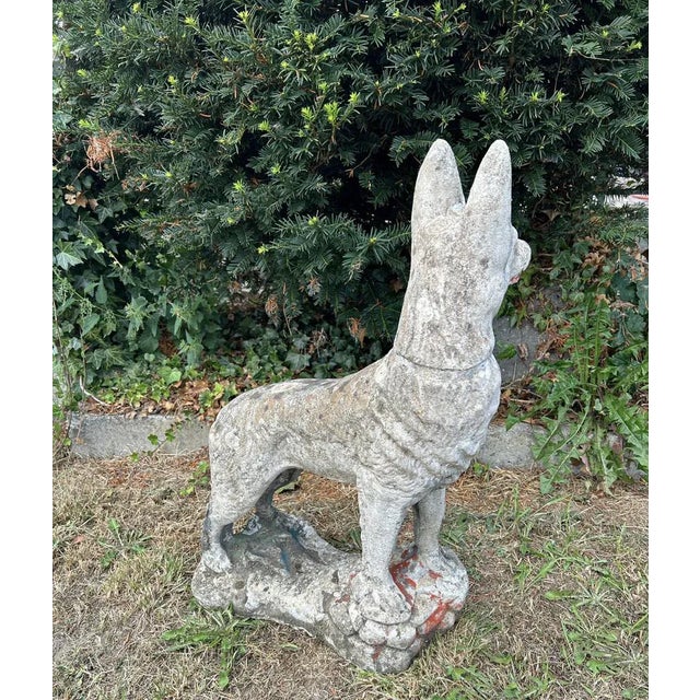 1950s Concrete Stone Shepard Garden Dog Ornament Sculpture, 1950s For Sale - Image 5 of 11