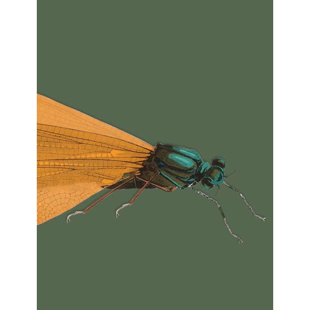 The series was produced by CFA editions from original pochior prints by E.A. Seguy. The series of insects that Seguy...