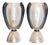 Vintage Murano Glass Table Lamps by Carlo Colizza, 1990s, Set of 2 For Sale