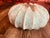 Nautical Resin Mold Catch-All Bowl/Nautical Centerpiece Decor, Quality Crafted in Thailand For Sale - Image 3 of 3