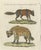 Bertuch, Cross Fox and Spotted Hyena, 1812, Print For Sale - Image 3 of 12