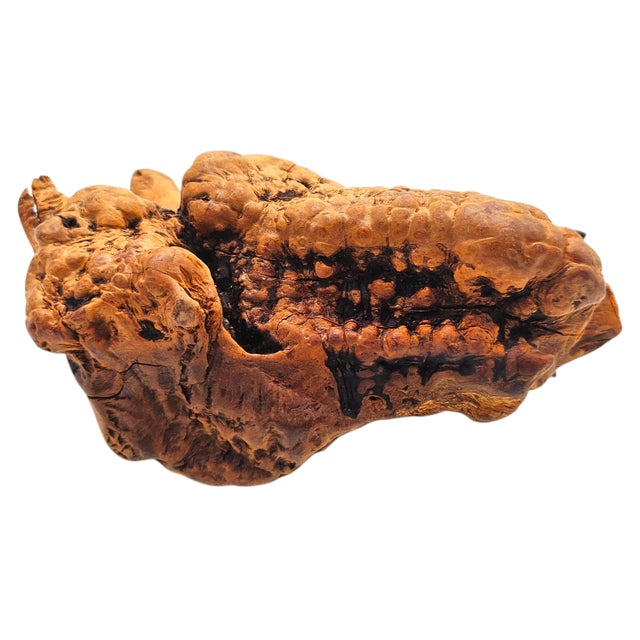 Hand-Carved Ironwood Whale Sculpture on Natural Burl Base, 9.5" For Sale - Image 11 of 11
