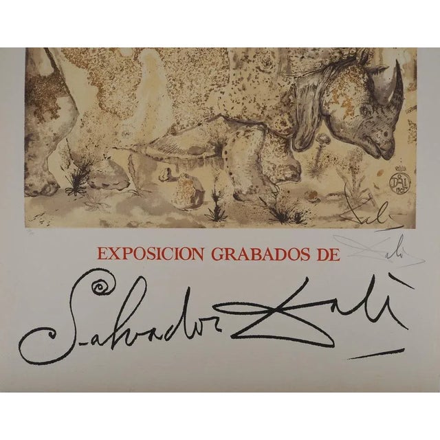 Salvador Dali, Rhinoceros, Homage to Albrecht Dürer, Lithograph For Sale - Image 7 of 10