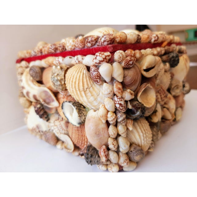 Vintage Coastal Encrusted Shell Box For Sale - Image 9 of 12