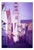 Paul Cooklin, City of Bruges, Belgium, Edition of 50 For Sale