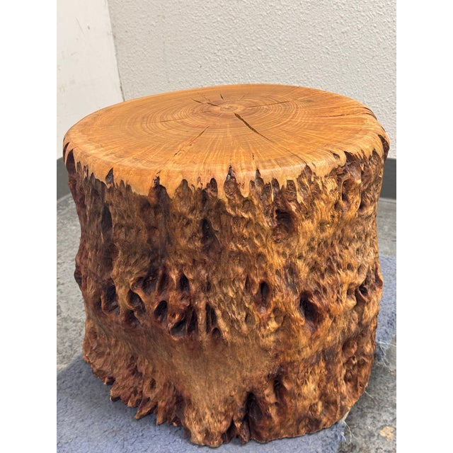 Organic Modern Live Edge Tree Side Table/Stool For Sale In San Francisco - Image 6 of 12