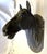 Antique French Life Size Heavy Cast Iron Horse Head Wall Mount Plaque Indoor/ Outdoor For Sale - Image 12 of 18