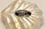 Gumps Capiz Bowls and Scalloped Shell Dishes Catchalls and Trays - A 9 Piece Set For Sale - Image 13 of 13