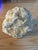 White Large White Quartz Crystal Geode Specimen – 5.59 Pounds For Sale - Image 8 of 10