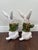 Mid 20th Century Ceramic Bunnies - A Pair For Sale - Image 4 of 13