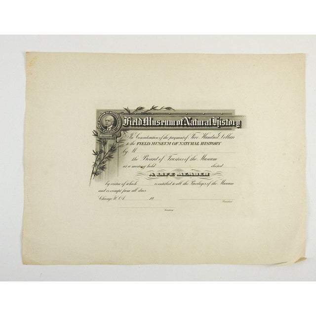 Field Museum of Natural History Antique Membership Certificate Chairish
