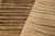 Beige Modern Gabbeh Beige/Green Wool Rug - 2'9'' X 4'10'' For Sale - Image 8 of 10