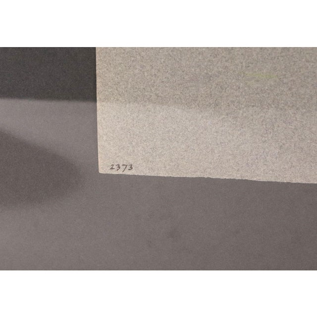 The Equestrian Eye: Original Pastel of a Stallion by Leslie Charlotte Benenson Dated May 16, 1986 For Sale In Philadelphia - Image 6 of 8