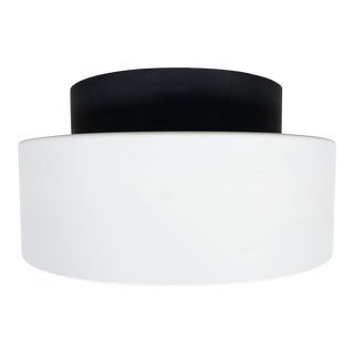 Lightolier Flush Mount Ceiling Pendant For Sale