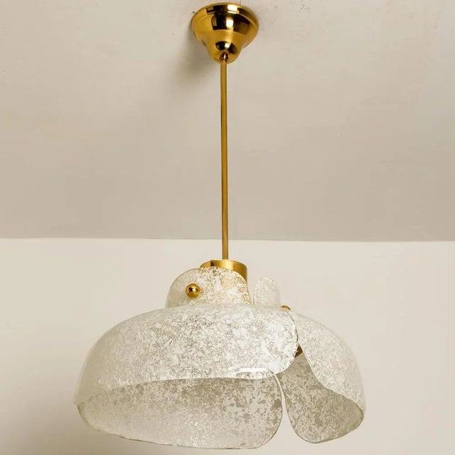 Flower Pendant Lamp from Hillebrand, Europe, Germany For Sale - Image 10 of 13