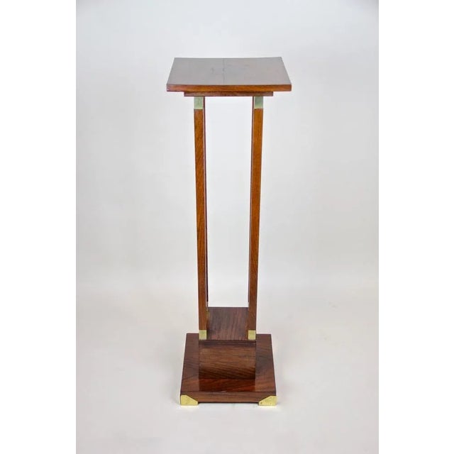 Austrian Art Nouveau Palisander Pedestal, 1900 For Sale - Image 3 of 15