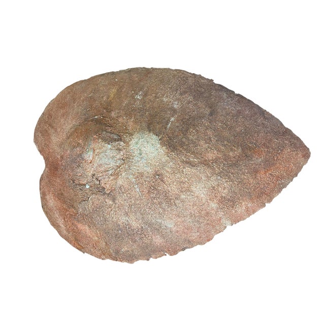 Sculpture Materials Oversized Hand-Cast Concrete Elephant Ear Leaf Garden Bowl, Birdbath or Centerpiece For Sale - Image 7 of 7