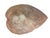 Sculpture Materials Oversized Hand-Cast Concrete Elephant Ear Leaf Garden Bowl, Birdbath or Centerpiece For Sale - Image 7 of 7