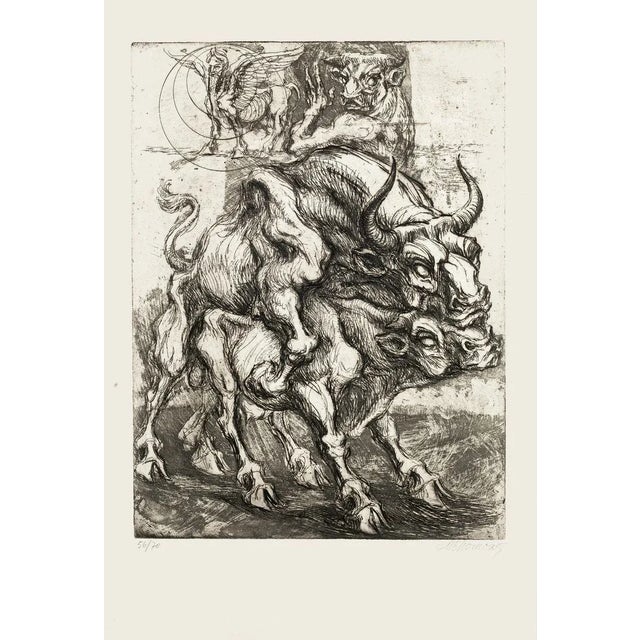 Bulls - Original Etching by M. Chirnoaga - Late 20th Century Late 20th Century For Sale - Image 3 of 3