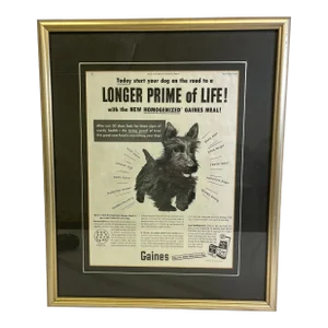 Vintage Framed Gaines Dog Food Advertisement From the Saturday Evening News - Circa 1953
