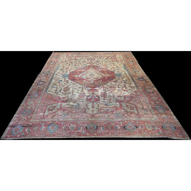 Antique Serapi Rug For Sale - Image 13 of 13