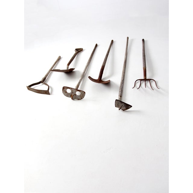 Early 20th Century Primitive Garden Tool Collection For Sale - Image 12 of 16