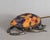 Muller Frères French Art Deco Scarab Night Lamp by Muller Freres - 1920s France For Sale - Image 4 of 11