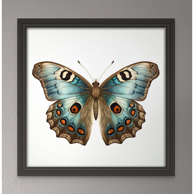 'Butterfly' (14) - Framed Original Art Print. Diane Grant Studio Editions. *All rights reserved. From a series of prints,...