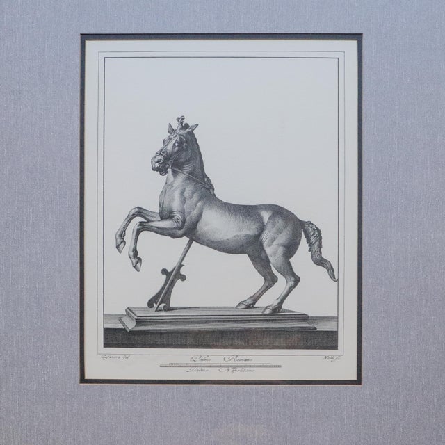 Large vintage decorative equestrian print reproducing an 18th-century engraving of an ancient Roman bronze horse from...