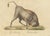Early 19th Century Karl Joseph Brodtmann, Indian Zebu Bull and Extinct Aurochs, 1816, Lithograph For Sale - Image 5 of 9