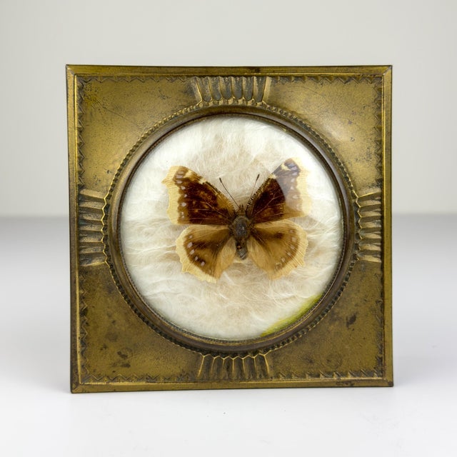 Vintage Jewelry Box from Dralle, Germany 1930s For Sale - Image 18 of 18