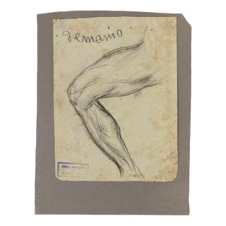 Luigi Galli, Anatomical Studies, 19th Century, Pencil on Paper For Sale