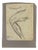 Luigi Galli, Anatomical Studies, 19th Century, Pencil on Paper For Sale