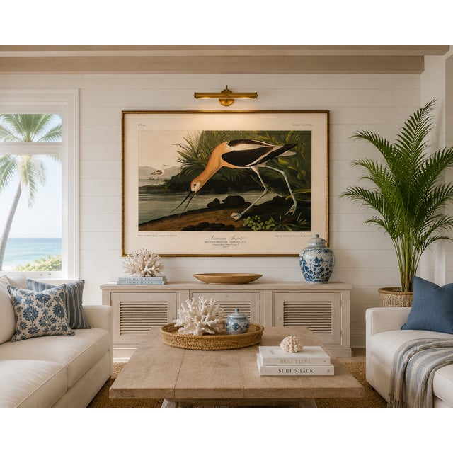 American Avocet, Museum Style Audubon Bird Print, 48" X 32" For Sale In Buffalo - Image 6 of 12