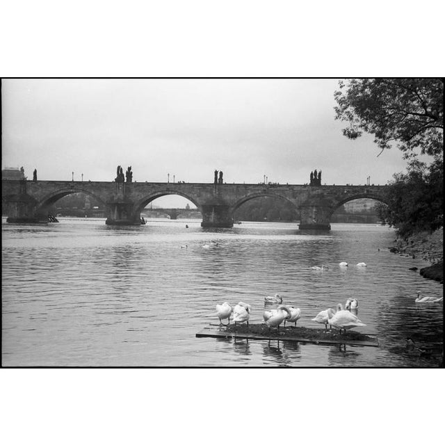 Editions of 10 + 5 APs. Front: Signature and edition number in pencil. Back: Ink stamp and print details in ink....