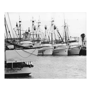 1970s San Pedro Marina Nautical Photograph by Don Ware