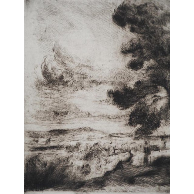 Maximilien Luce, Landscape of Yonne, 1900, Original Etching For Sale - Image 5 of 6